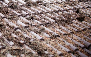 Cantraywood roof cleaning companies